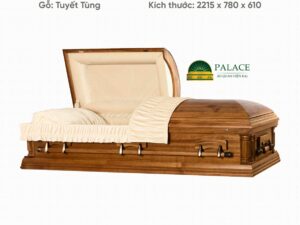 Quan tài an táng hiện đại An Yên dịch vụ mai táng trọn gói dịch vụ tang lễ trọn gói tang lễ hiện đai
