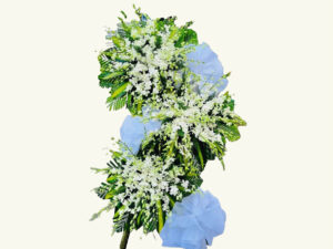 Hoa Tang Lễ An Yên