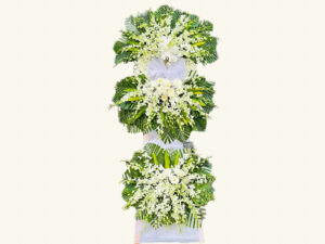 hoa tang lễ phước bình