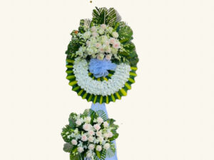 Hoa Tang Lễ Lạc Lành