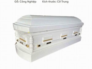 Quan tài hoả táng hiện đại Bạch Đại Phúc