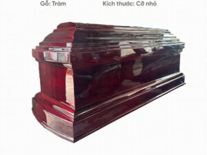 Quan Tài Địa Táng tràm nhỏ